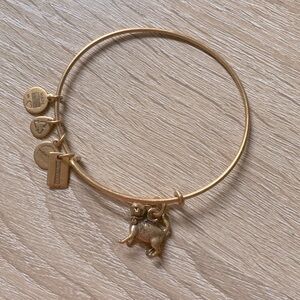Alex and Ani Monopoly Cat Bangle